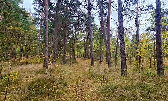 Tikai 3 km attālumā no burvīgās un plašās Vecāķu pludmales tiek pārdots apbūves gabals Vecāķu prospe Рига