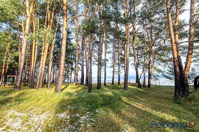 Zemes kopējā platība: 2434 m2Zemes statuss: meža zeme 2379 m2Orientējoši transformējamā Saulkrasti - foto 14