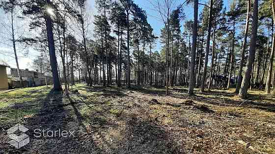 Iznomā Mežgaļu skolas ēku ar kopējo platību 1260 m2 un 70 telpām ēkas 3 stāvos. Pirmajā stāvā atroda Bauska un Bauskas novads