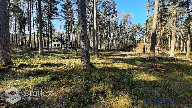 Iznomā Mežgaļu skolas ēku ar kopējo platību 1260 m2 un 70 telpām ēkas 3 stāvos. Pirmajā Bauska un Bauskas novads - foto 2