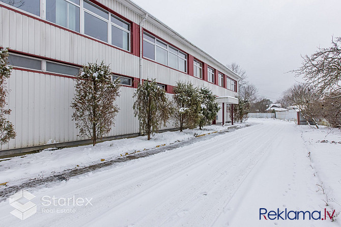 Iznomā Mežgaļu skolas ēku ar kopējo platību 1260 m2 un 70 telpām ēkas 3 stāvos. Pirmajā Bauska un Bauskas novads - foto 13