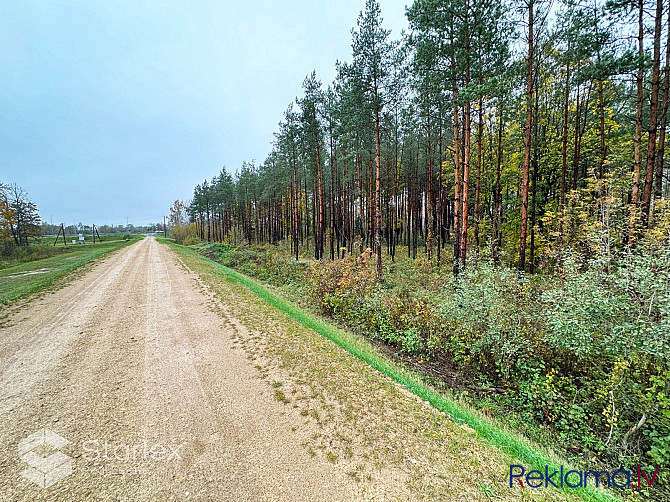 Pārdod 1/2 domājamo daļu jeb 2.03 ha no zemes gabala ar kopējo platību 4.06 ha Ādažos blakus Ādažu novads - foto 7