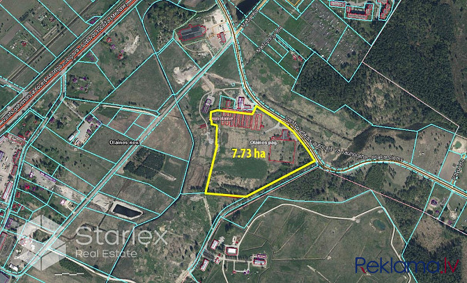 Pārdod zemes gabalu ar platību 7,73 ha Jaunolainē, Olaines novadā. Uz zemes gabala atrodas no Olaine - foto 3
