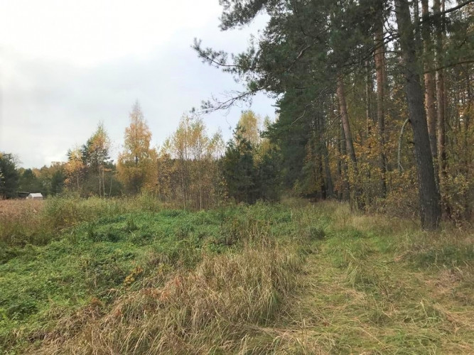 Zemes gabals Babītes pagastā.   400 m attālumā no Božu ūdenskrātuves, 2,2 km no Liepājas šosejas. 70 Рижский район - изображение 2