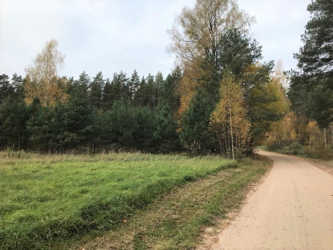 Zemes gabals Babītes pagastā.   400 m attālumā no Božu ūdenskrātuves, 2,2 km no Liepājas šosejas. 70 Рижский район - изображение 1