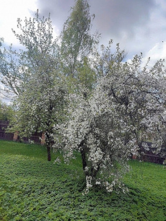 Продается доходная недвижимость - дом с сданными в аренду 4 квартирами и большим Рига - изображение 17