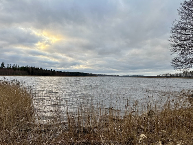 Tiek pārdots zemes gabals 2,77ha gleznainā vietā Usmas ezera krastā, netālu no Rīga-Ventspils Talsi un Talsu novads - foto 5