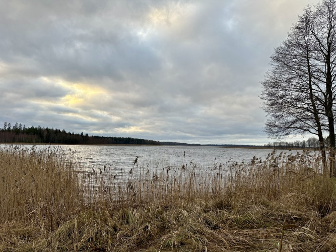 Tiek pārdots zemes gabals 2,77ha gleznainā vietā Usmas ezera krastā, netālu no Rīga-Ventspils Talsi un Talsu novads - foto 4