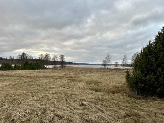 Tiek pārdots zemes gabals 2,77ha gleznainā vietā Usmas ezera krastā, netālu no Rīga-Ventspils Talsi un Talsu novads - foto 7