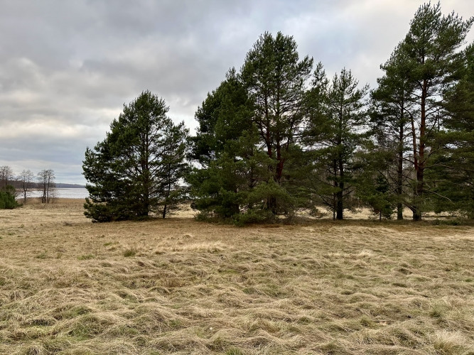 Tiek pārdots zemes gabals 2,77ha gleznainā vietā Usmas ezera krastā, netālu no Rīga-Ventspils Talsi un Talsu novads - foto 8