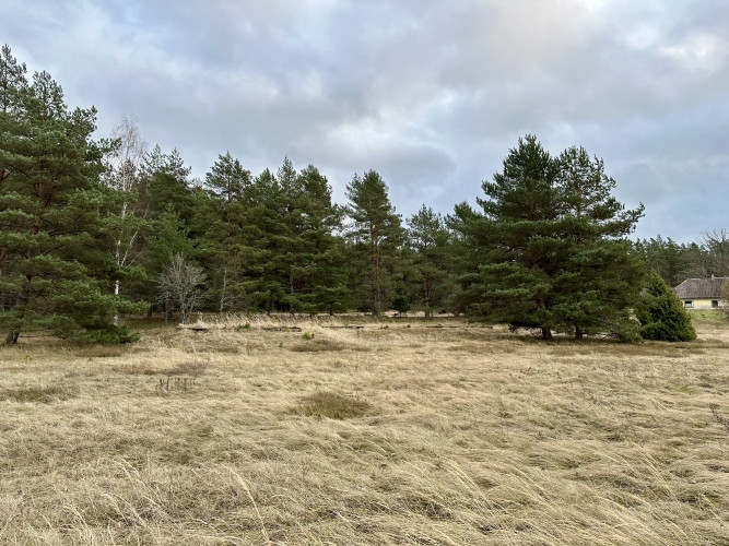 Tiek pārdots zemes gabals 2,77ha gleznainā vietā Usmas ezera krastā, netālu no Rīga-Ventspils Talsi un Talsu novads - foto 6