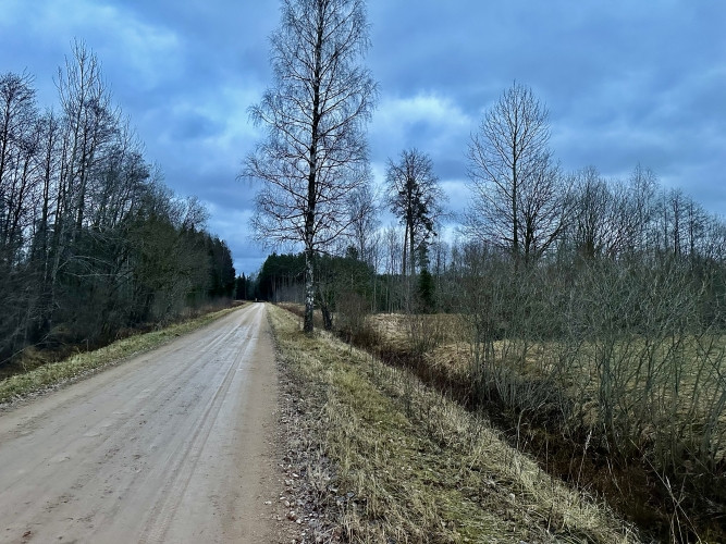 Tiek pārdots lauku īpašums 43 ha platībā Kuldīgas novadā, tikai 4 km attālumā no Rendas. Kuldīga un Kuldīgas novads - foto 4