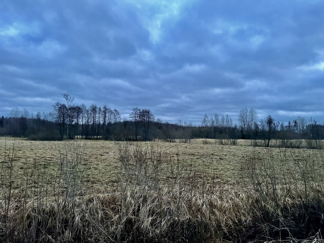 Tiek pārdots lauku īpašums 43 ha platībā Kuldīgas novadā, tikai 4 km attālumā no Rendas. Kuldīga un Kuldīgas novads - foto 3