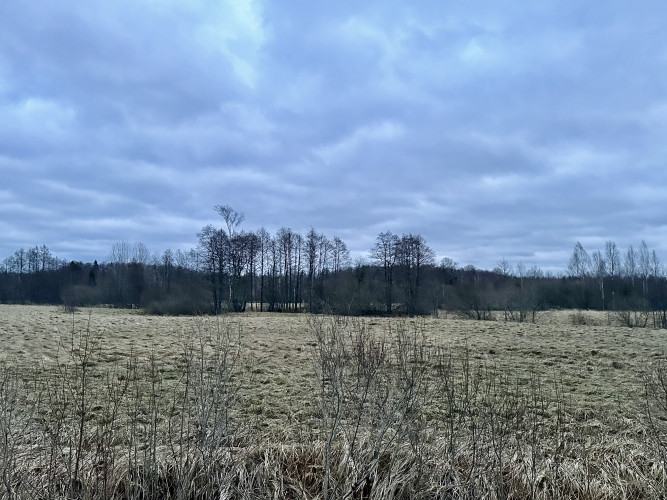 Tiek pārdots lauku īpašums 43 ha platībā Kuldīgas novadā, tikai 4 km attālumā no Rendas. Kuldīga un Kuldīgas novads - foto 2