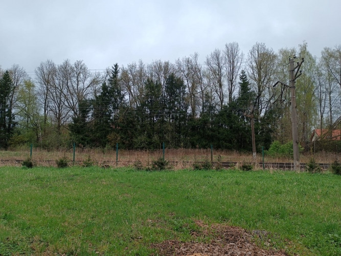 For sale  a bulding plot in the center of Ikšķile, in the historical private house district - Dainu  Огре и Огрский край - изображение 11