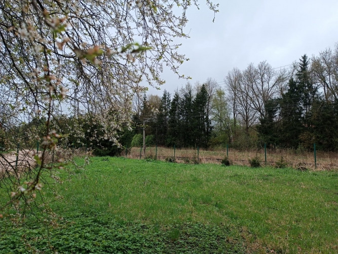 For sale  a bulding plot in the center of Ikšķile, in the historical private house district - Dainu  Огре и Огрский край - изображение 12