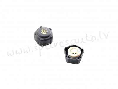 RKPRC817 - 'OEM: 820048024' Renault Megane: 1.4,1.6, 1.8 all 16v - Radiatora Vāks - RENAULT SCENIC ( Рига