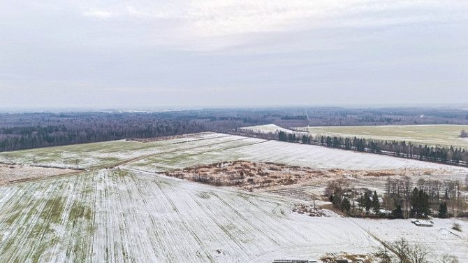 Pārdod lauksaimniecības zemi Danči un Stirnāres Jumpravas pagastā, Lielvārdes novadā.  Zemes Ogre un Ogres novads - foto 7