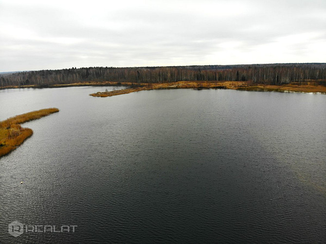 Pārdod unikālu investīciju objektu  Māju ezera krastā par zemes cenu!   Ideāli piemērota: - Mālpils pagasts - foto 7