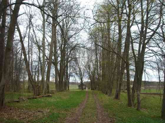 Just a 1.5-hour drive from Riga, nestled in a picturesque landscape and rural tranquility, lies a 50 Valka un Valkas novads