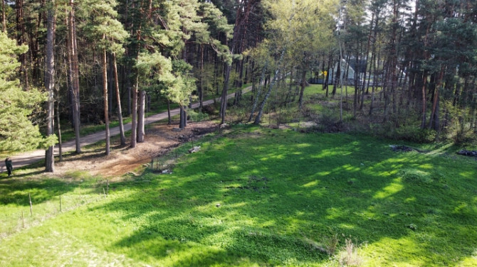 Kluss un plašs zemesgabals meža ieskautā mierā  Valteros!  Tikai 10 minūšu pastaigas Jūrmala - foto 6