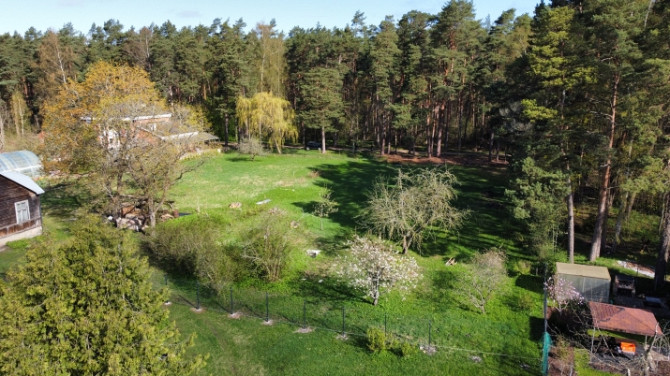 Kluss un plašs zemesgabals meža ieskautā mierā  Valteros!  Tikai 10 minūšu pastaigas Jūrmala - foto 8