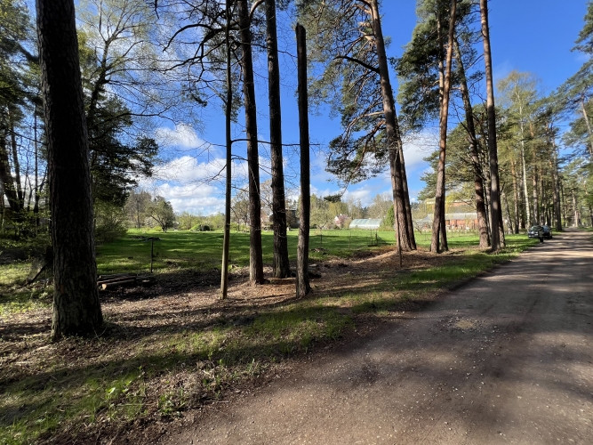 Kluss un plašs zemesgabals meža ieskautā mierā  Valteros!  Tikai 10 minūšu pastaigas Jūrmala - foto 1