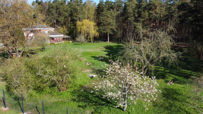 Kluss un plašs zemesgabals meža ieskautā mierā  Valteros!  Tikai 10 minūšu pastaigas Jūrmala - foto 9