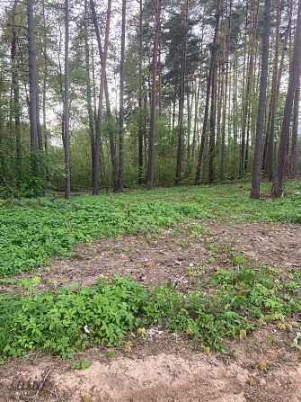 Pārdod regulāras formas apbūves gabalu privātmājas būvniecībai.
Zemes gabals atrodas ielas Rīga - foto 4