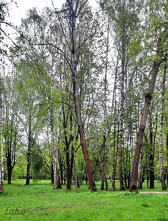 Pārdod 3 istabu dzīvokli tuvās Pārdaugavas klusajā un zaļajā apkaimē. Dzīvoklis sastāv no 3 istabām, Рига - изображение 3