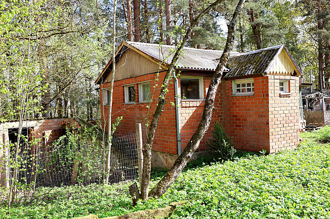 Pārdod vasarnīcu Namiķu ezera apkaimē, dārzkopības biedrībā Lauktehnika zemes gabals Nr.51, zemes ga Екабпилс и Екабпилсский край - изображение 2