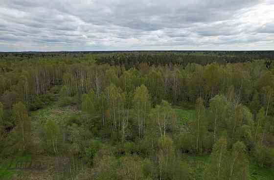 Pārdod 2500 m lielu zemesgabalu Ķekavā, Ķekavas novadā.
Īpašums atrodas klusā un zaļā apkaimē, meža  Кекавская вол.