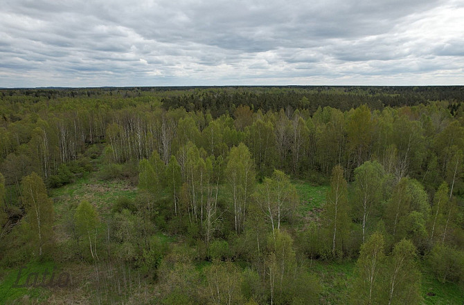Pārdod 2500 m lielu zemesgabalu Ķekavā, Ķekavas novadā.
Īpašums atrodas klusā un zaļā apkaimē, meža  Кекавская вол. - изображение 5