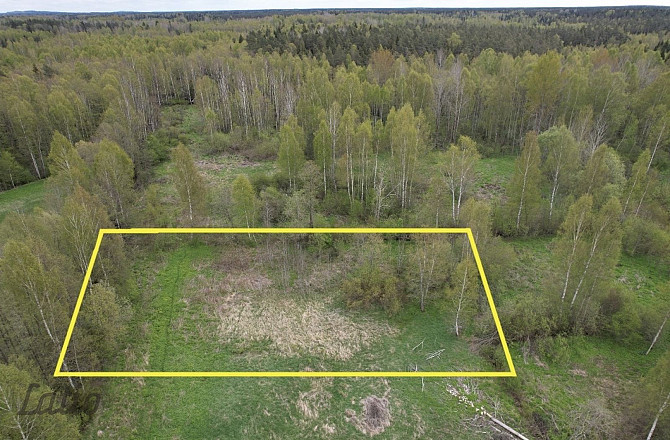 Pārdod 2500 m lielu zemesgabalu Ķekavā, Ķekavas novadā.
Īpašums atrodas klusā un zaļā apkaimē, meža  Кекавская вол. - изображение 2
