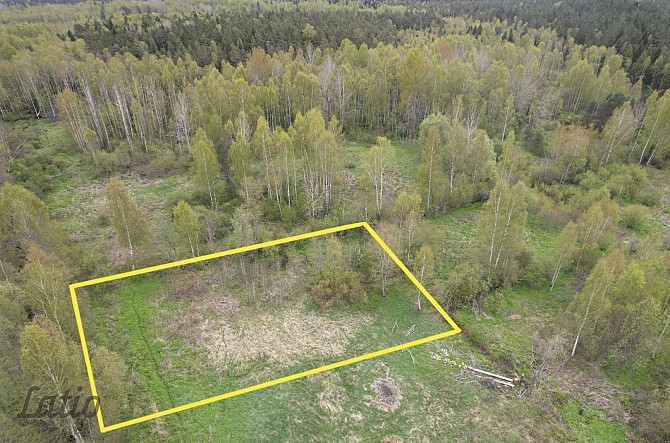 Pārdod 2500 m lielu zemesgabalu Ķekavā, Ķekavas novadā.
Īpašums atrodas klusā un zaļā apkaimē, meža  Кекавская вол. - изображение 3