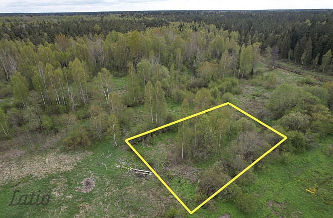 Pārdod 2400 m lielu zemesgabalu Ķekavā, Ķekavas novadā.
Īpašums atrodas klusā un zaļā apkaimē, meža  Кекавская вол. - изображение 4