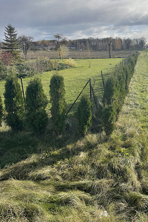 Piedāvāju Dzīvojamo Māju ar Lielu un Līdzenu Zemes Gabalu un Labiekārtotu Platību 3800 m² Bauska - foto 17