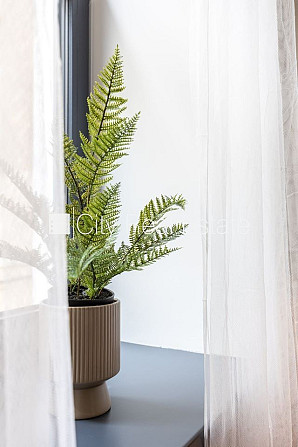 Pagalma ēka, renovēta māja, slēgts pagalms, ieeja no ielas un pagalma, ir lifts, kāpņu telpa Rīga - foto 11