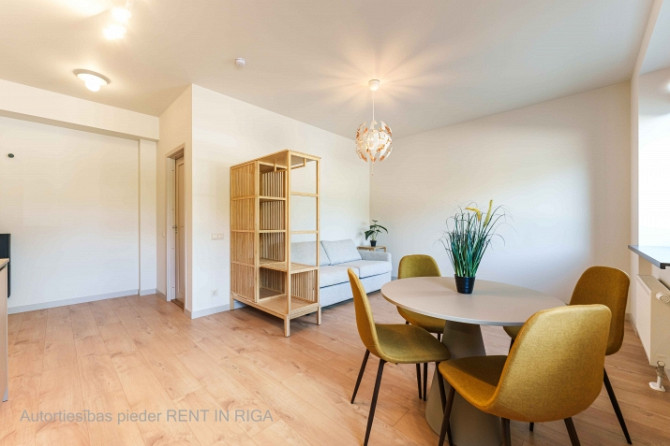Mūsdienīgs un līdz detaļām pārdomāts studio tipa dzīvoklis Lielirbes ielā 9a  lokācijā, Rīga - foto 5