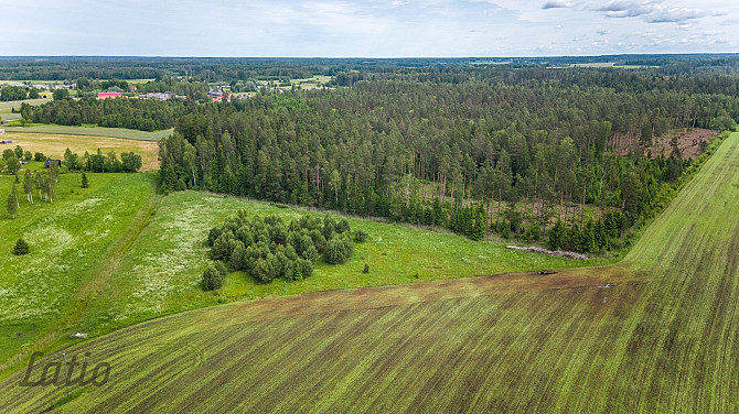Pārdod ainavisku 7.2 ha zemesgabalu GNP neitrālajā zonā,  no kura daļa atrodas Raganas ciemā, Rīgas rajons - foto 4