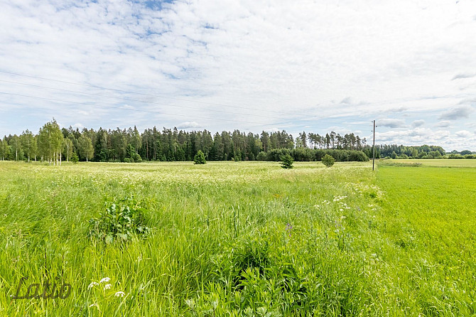 Pārdod ainavisku 7.2 ha zemesgabalu GNP neitrālajā zonā,  no kura daļa atrodas Raganas ciemā, Rīgas rajons - foto 1