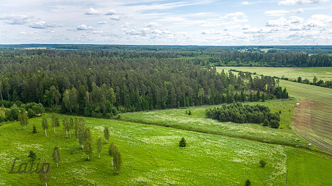 Pārdod ainavisku 7.2 ha zemesgabalu GNP neitrālajā zonā,  no kura daļa atrodas Raganas ciemā, Rīgas rajons - foto 3