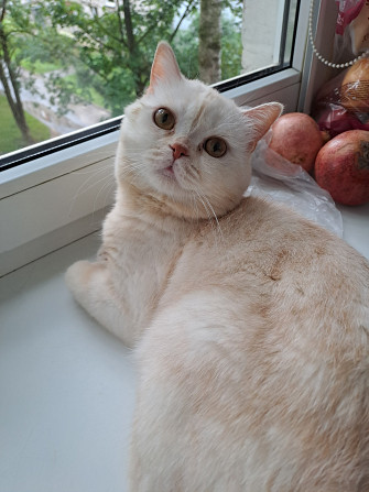 Продаю Rīga - foto 2