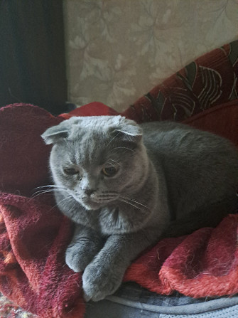 Продаю Rīga - foto 3