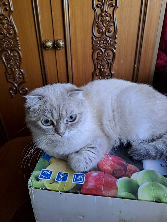Продаю Rīga - foto 3