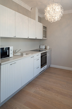 Проект - Residence Lumiere (Ресиденце Лумиере), фасадный дом, реновированный дом, вход с Рига - изображение 3
