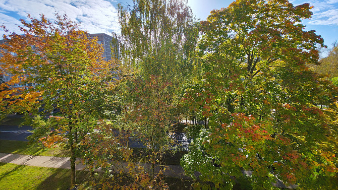 Dzīvokļa video tūri var noskatīties, nospiežot uz mājas lapas sludinājuma lejas daļā.
Pārdodam... Саласпилс - изображение 9