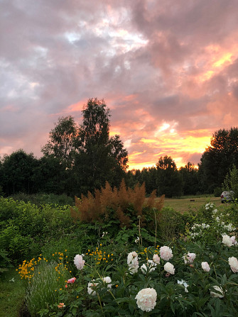 Īpašums Apšuciemā Tukums - foto 9