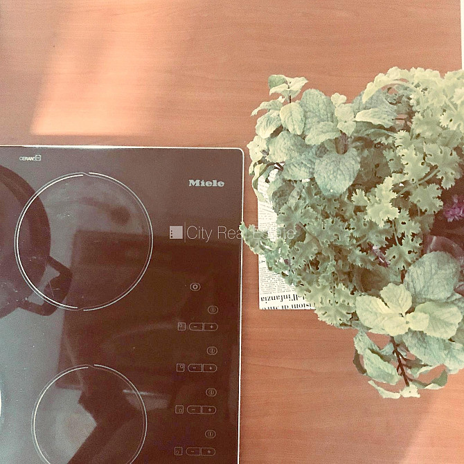 Fasādes māja, slēgts pagalms, vieta automašīnai, ieeja no ielas, kāpņu telpa pēc Rīga - foto 9