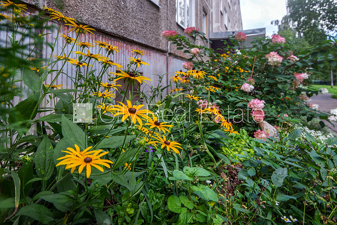 Земля в собственности, дом во дворе, благоустроенная озеленённая территория, Рига - изображение 16